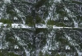体育博彩app-包含从Ming在掘金比赛中高光表现到门兴格拉德巴赫围绕意大利杯状态回暖，尤文图斯围绕欧超杯调整名单的词条